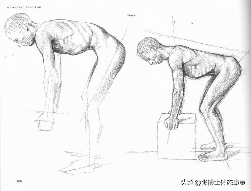 弯腰运动_弯腰运动对腰椎好吗_弯腰运动对身体健康有什么好处