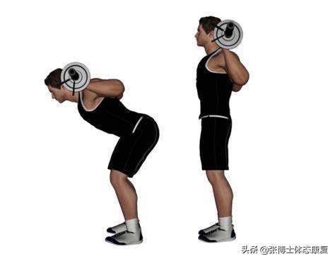 弯腰运动对腰椎好吗_弯腰运动_弯腰运动对身体健康有什么好处