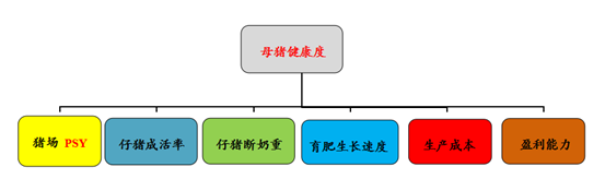 亚健康的原因_亚健康原因分析_造成亚健康状态原因是什么