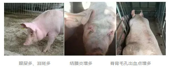 造成亚健康状态原因是什么_亚健康原因分析_亚健康的原因